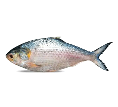 20260421012635_1gJiuK4T.png