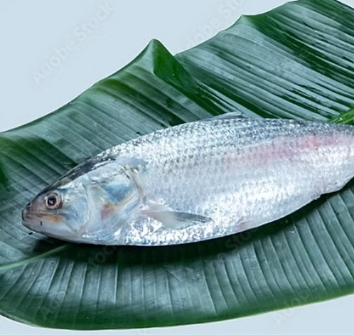 20260421130927_2uOBBhaA.jpeg