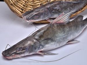 আইড়