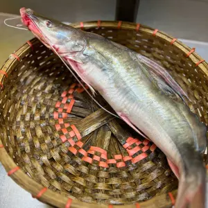 আইড়