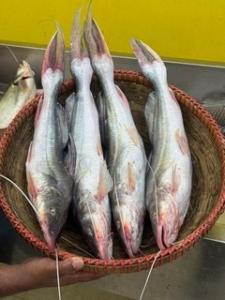 আইড়